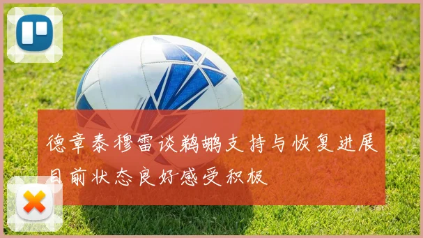 德章泰穆雷谈鹈鹕支持与恢复进展目前状态良好感受积极