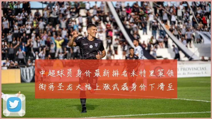 中超球员身价最新排名米特里策领衔蒋圣龙大幅上涨武磊身价下滑至50万