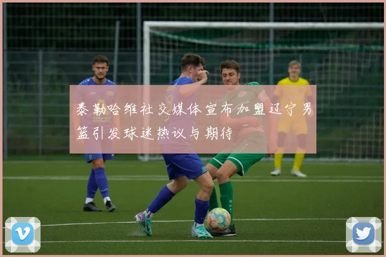 泰勒哈维社交媒体宣布加盟辽宁男篮引发球迷热议与期待